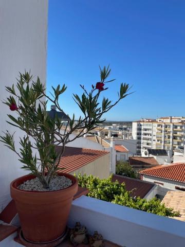 Casa Alegria - Ocean View Apartment - Centre لاغوس المظهر الخارجي الصورة